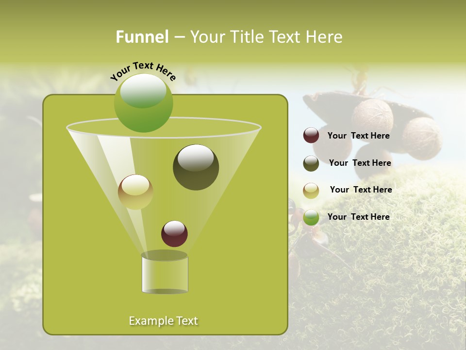 A Group Of Ants On A Moss Covered Hill PowerPoint Template