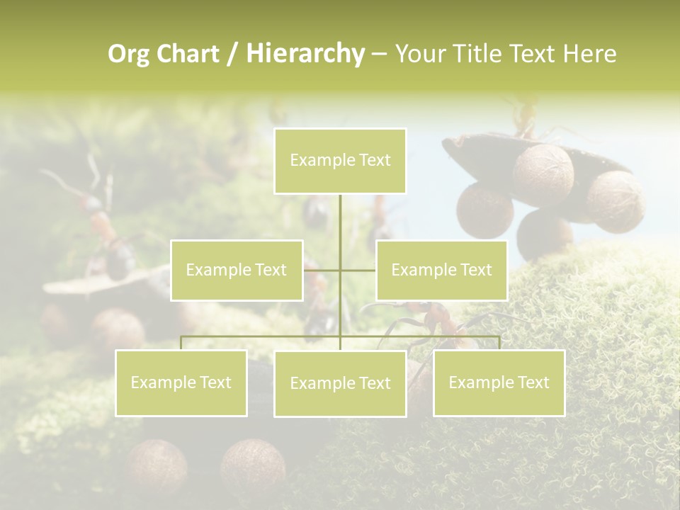A Group Of Ants On A Moss Covered Hill PowerPoint Template