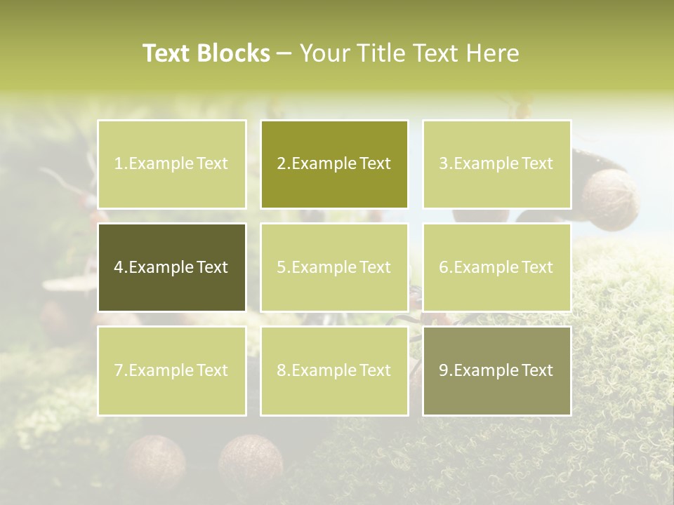 A Group Of Ants On A Moss Covered Hill PowerPoint Template