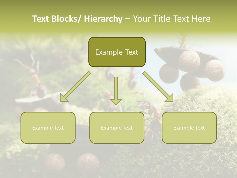 A Group Of Ants On A Moss Covered Hill PowerPoint Template