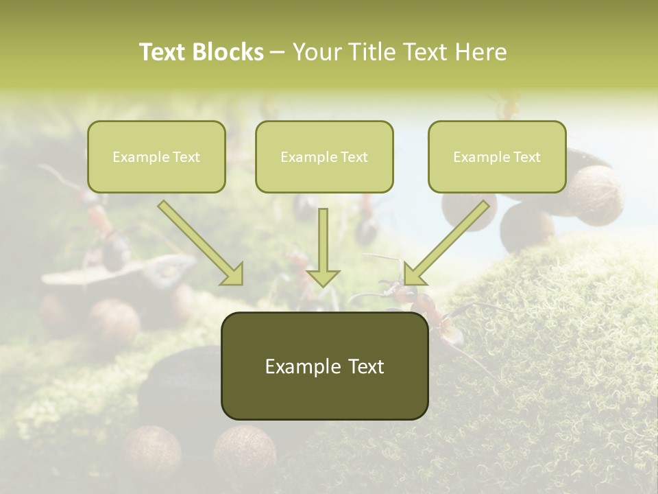 A Group Of Ants On A Moss Covered Hill PowerPoint Template