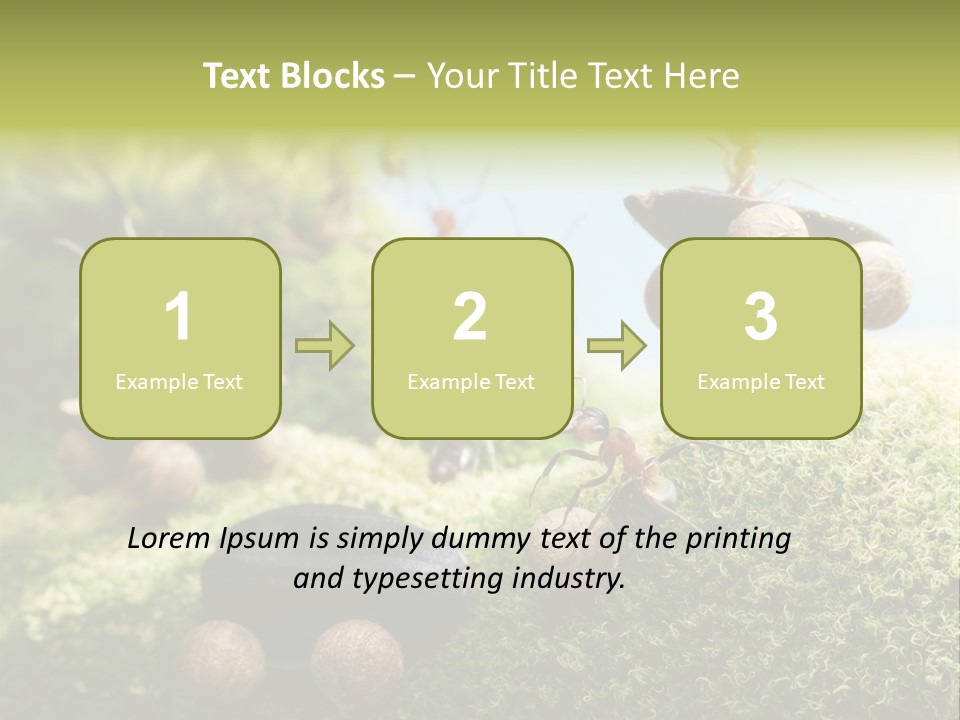 A Group Of Ants On A Moss Covered Hill PowerPoint Template