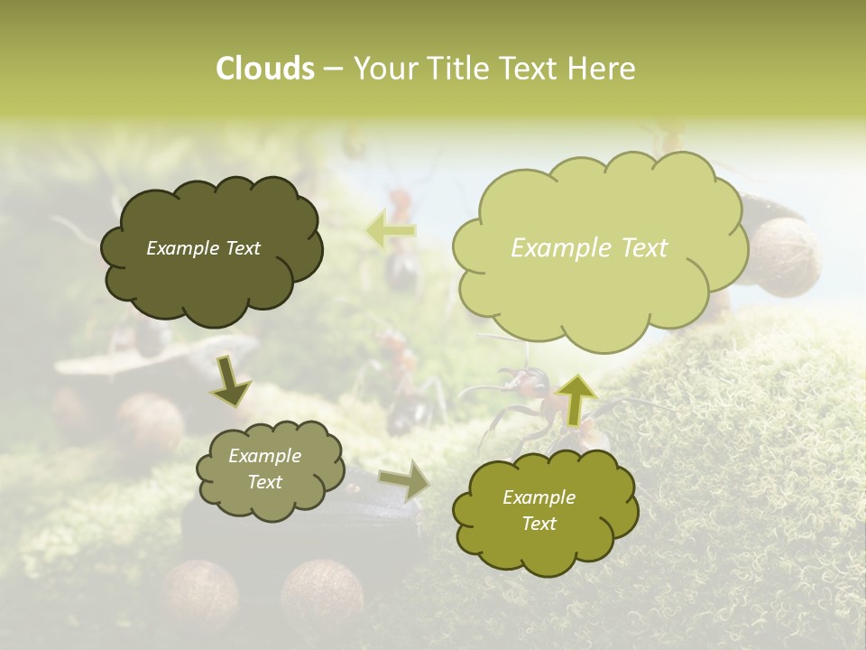 A Group Of Ants On A Moss Covered Hill PowerPoint Template