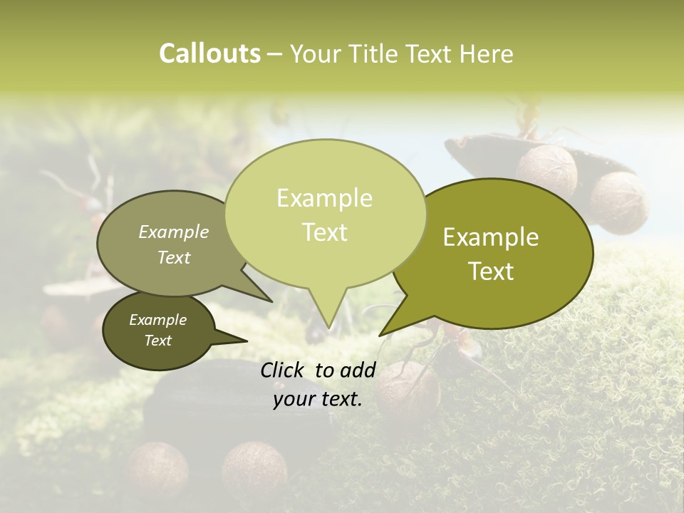 A Group Of Ants On A Moss Covered Hill PowerPoint Template