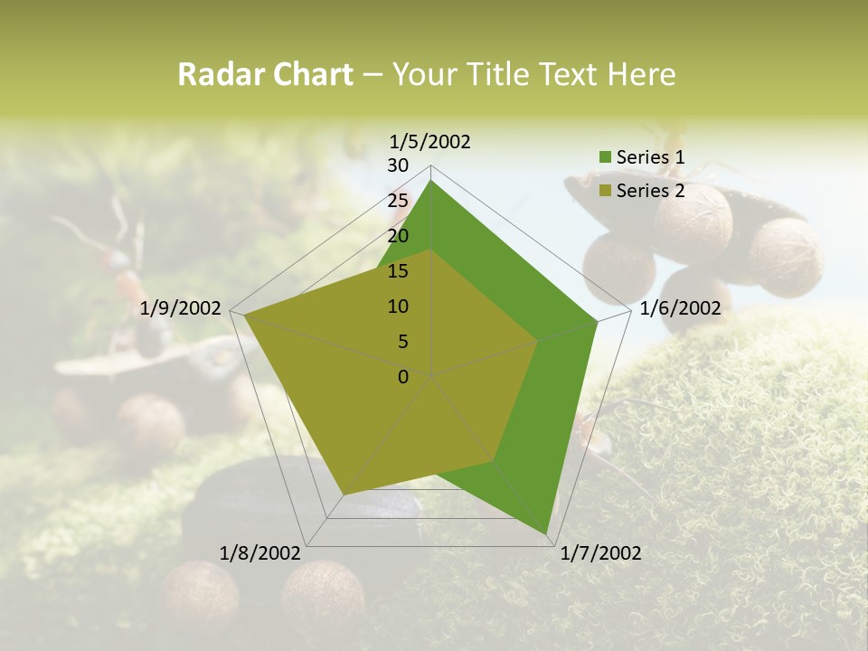 A Group Of Ants On A Moss Covered Hill PowerPoint Template