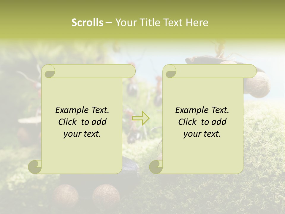A Group Of Ants On A Moss Covered Hill PowerPoint Template