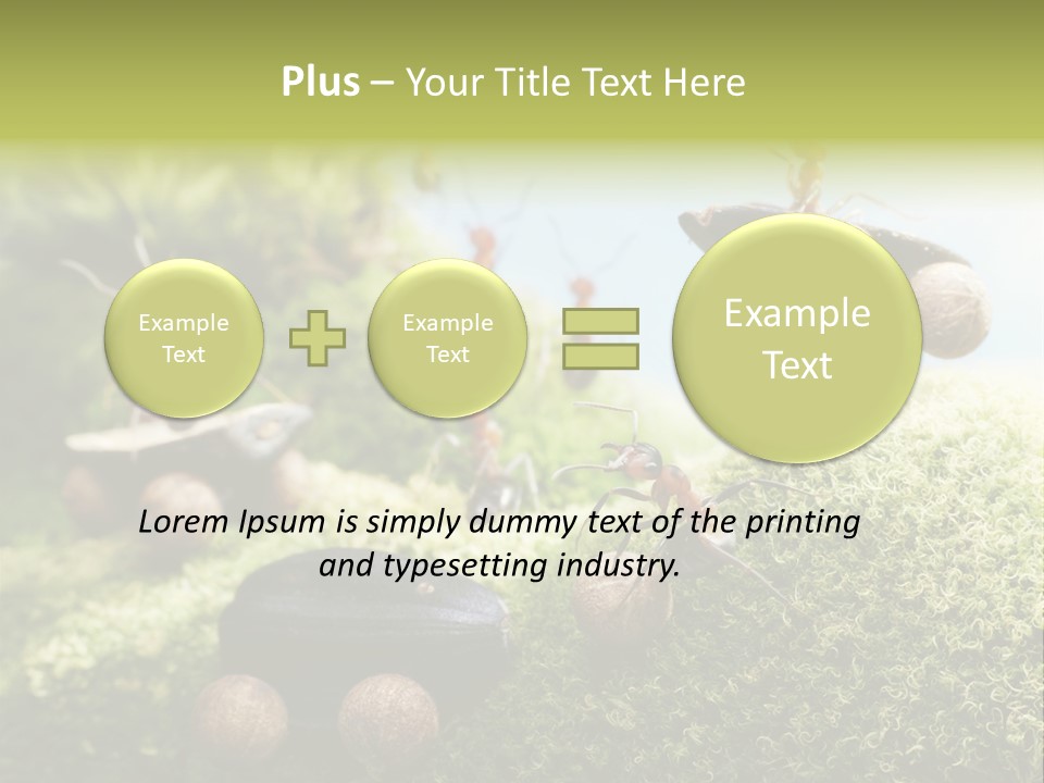 A Group Of Ants On A Moss Covered Hill PowerPoint Template