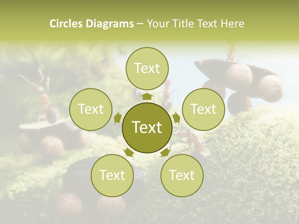 A Group Of Ants On A Moss Covered Hill PowerPoint Template