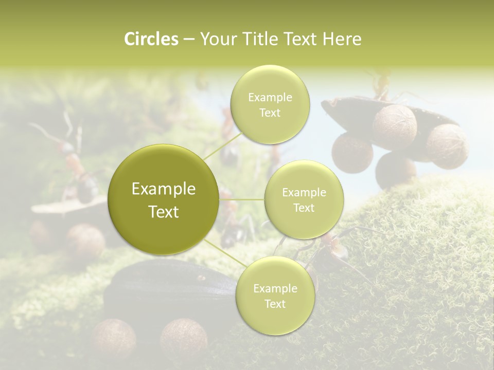 A Group Of Ants On A Moss Covered Hill PowerPoint Template