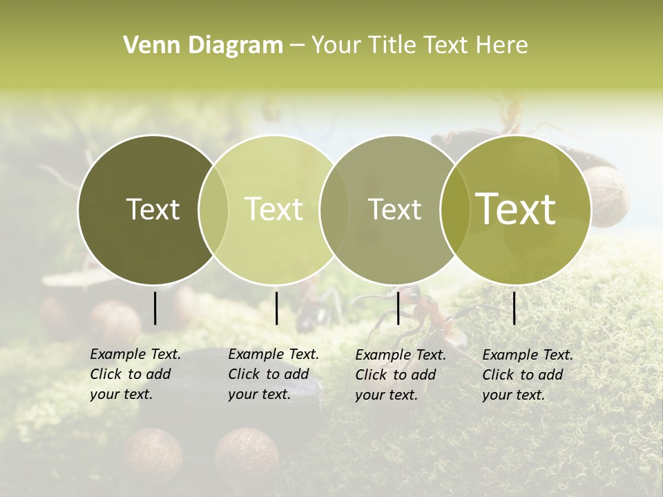 A Group Of Ants On A Moss Covered Hill PowerPoint Template