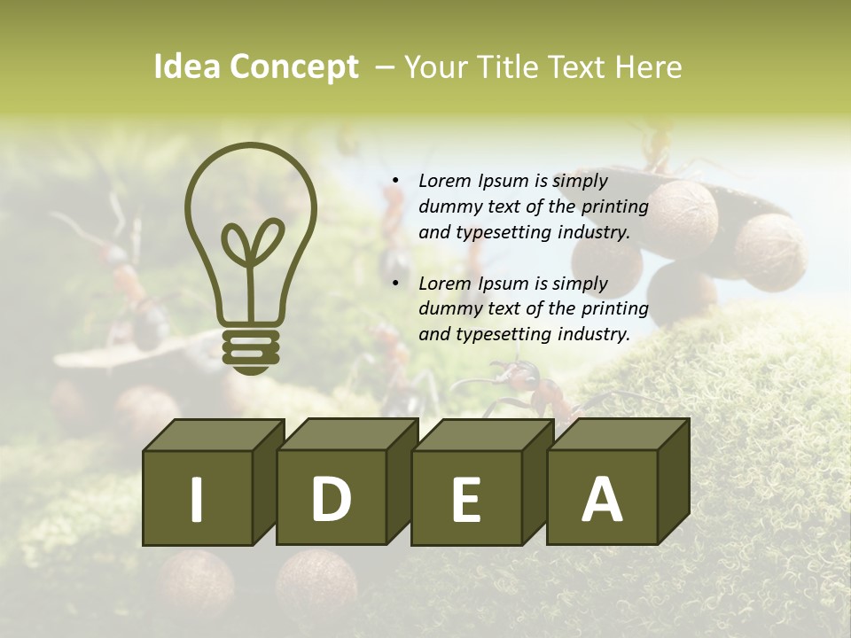 A Group Of Ants On A Moss Covered Hill PowerPoint Template