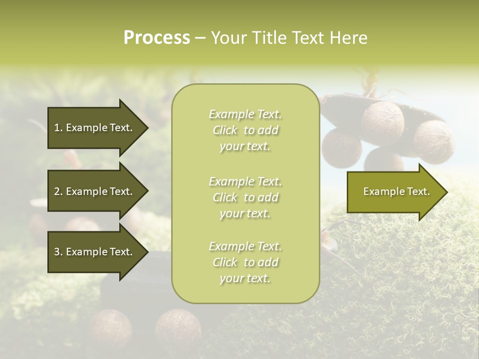 A Group Of Ants On A Moss Covered Hill PowerPoint Template