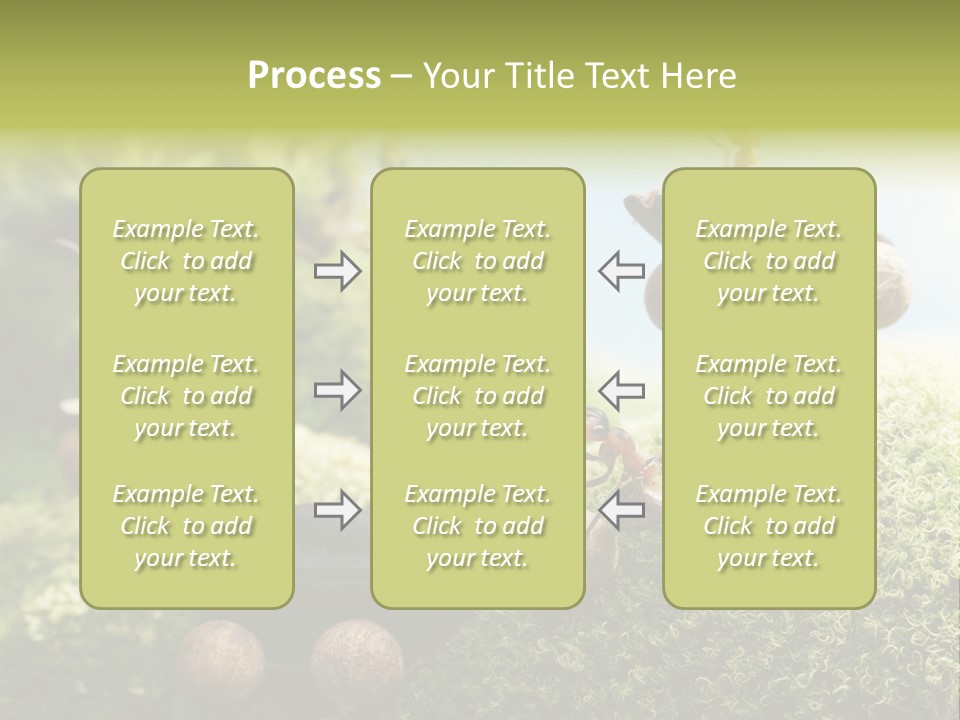 A Group Of Ants On A Moss Covered Hill PowerPoint Template