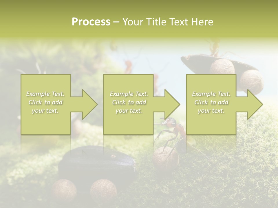 A Group Of Ants On A Moss Covered Hill PowerPoint Template