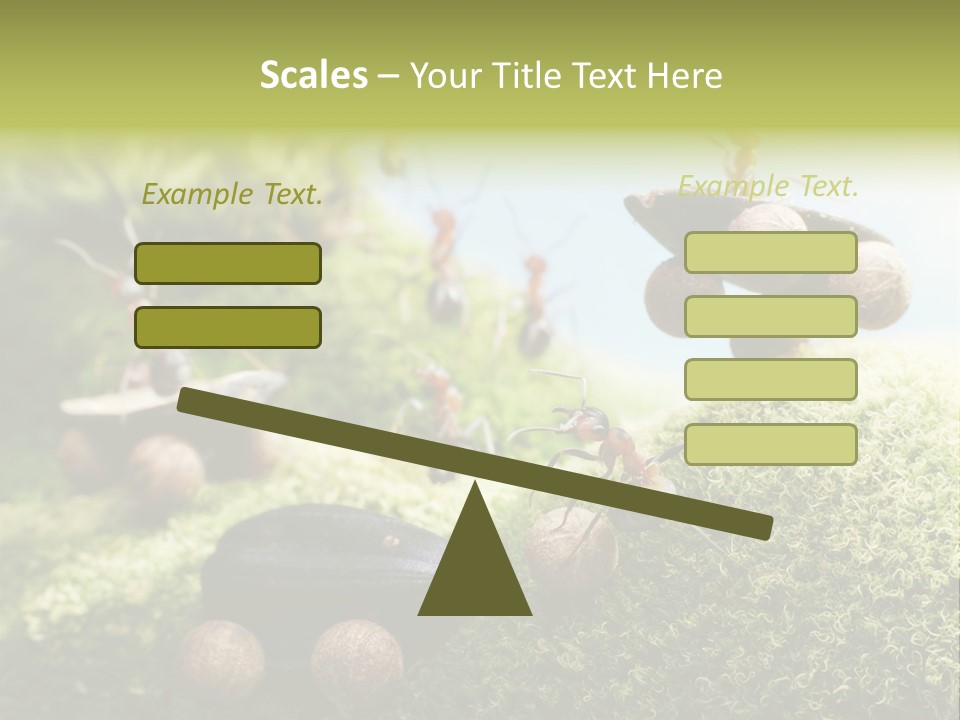 A Group Of Ants On A Moss Covered Hill PowerPoint Template