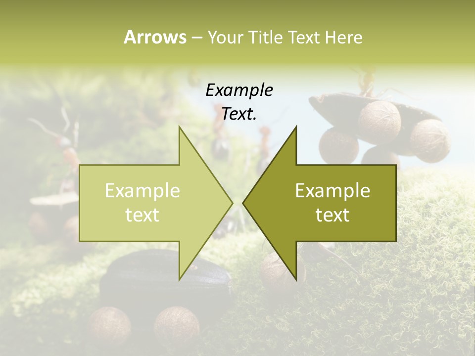 A Group Of Ants On A Moss Covered Hill PowerPoint Template