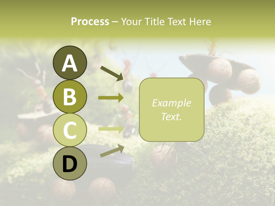 A Group Of Ants On A Moss Covered Hill PowerPoint Template