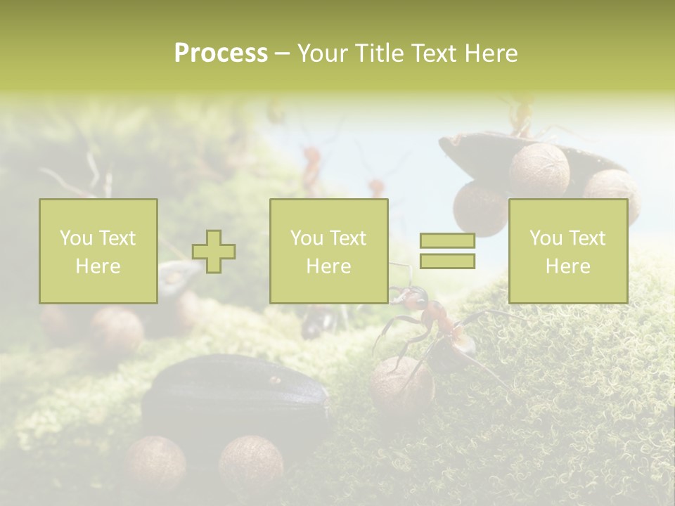 A Group Of Ants On A Moss Covered Hill PowerPoint Template