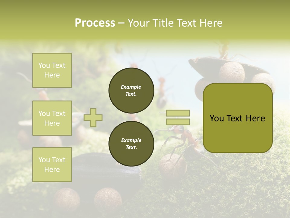 A Group Of Ants On A Moss Covered Hill PowerPoint Template