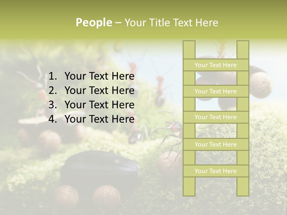 A Group Of Ants On A Moss Covered Hill PowerPoint Template