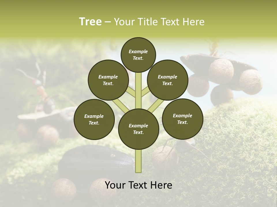 A Group Of Ants On A Moss Covered Hill PowerPoint Template