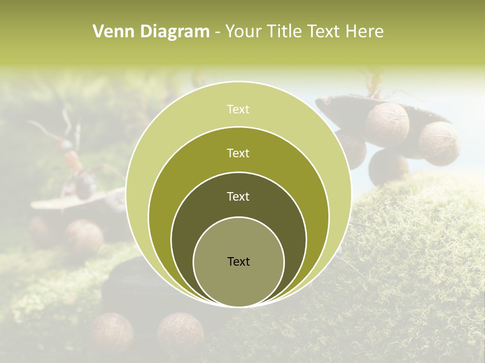 A Group Of Ants On A Moss Covered Hill PowerPoint Template