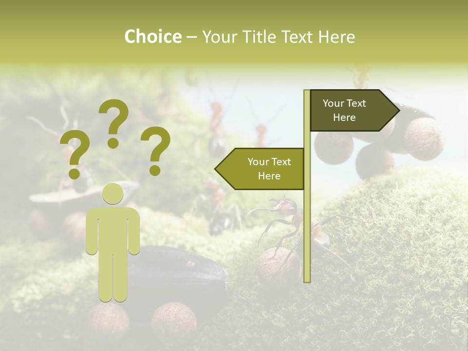 A Group Of Ants On A Moss Covered Hill PowerPoint Template