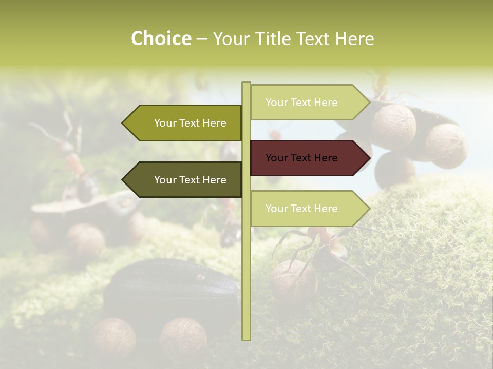 A Group Of Ants On A Moss Covered Hill PowerPoint Template
