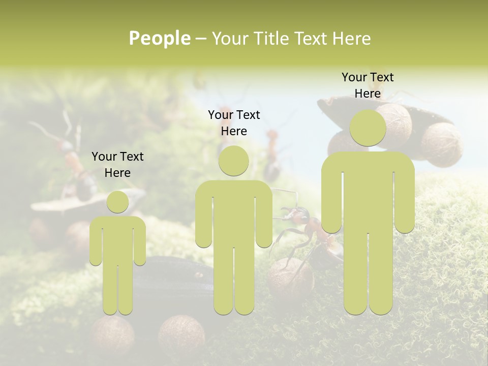 A Group Of Ants On A Moss Covered Hill PowerPoint Template