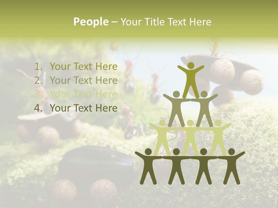 A Group Of Ants On A Moss Covered Hill PowerPoint Template