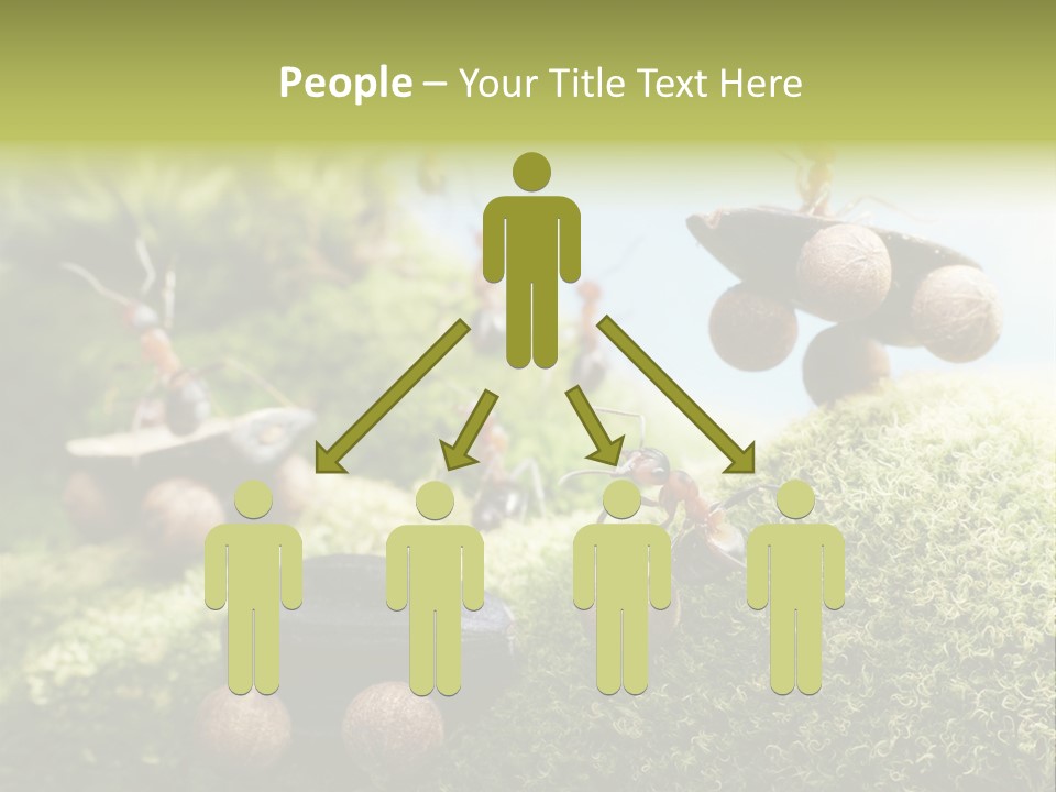 A Group Of Ants On A Moss Covered Hill PowerPoint Template