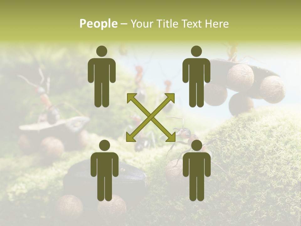 A Group Of Ants On A Moss Covered Hill PowerPoint Template