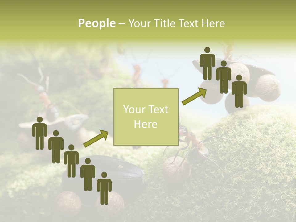 A Group Of Ants On A Moss Covered Hill PowerPoint Template
