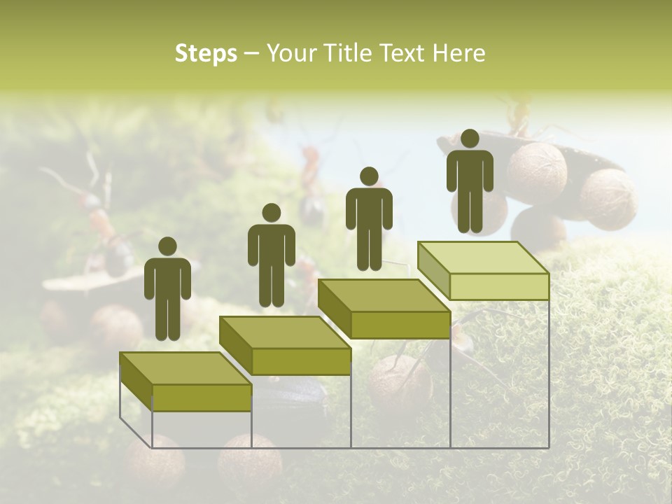 A Group Of Ants On A Moss Covered Hill PowerPoint Template
