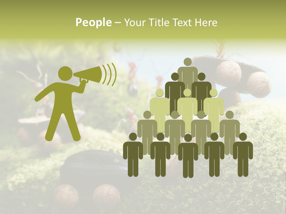 A Group Of Ants On A Moss Covered Hill PowerPoint Template