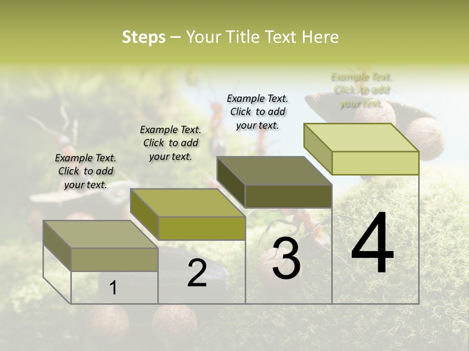 A Group Of Ants On A Moss Covered Hill PowerPoint Template