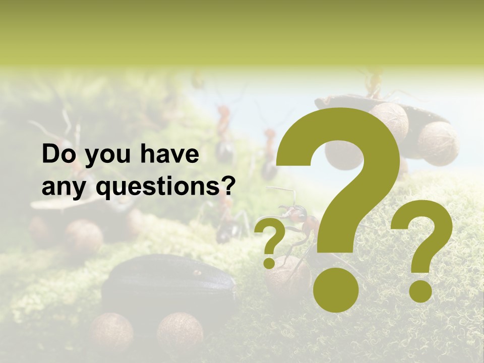 A Group Of Ants On A Moss Covered Hill PowerPoint Template