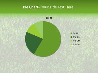 Turf Green Spring PowerPoint Template