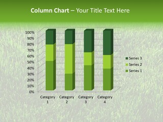 Turf Green Spring PowerPoint Template