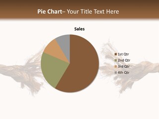 Last Weak Stress PowerPoint Template