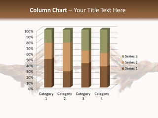 Last Weak Stress PowerPoint Template