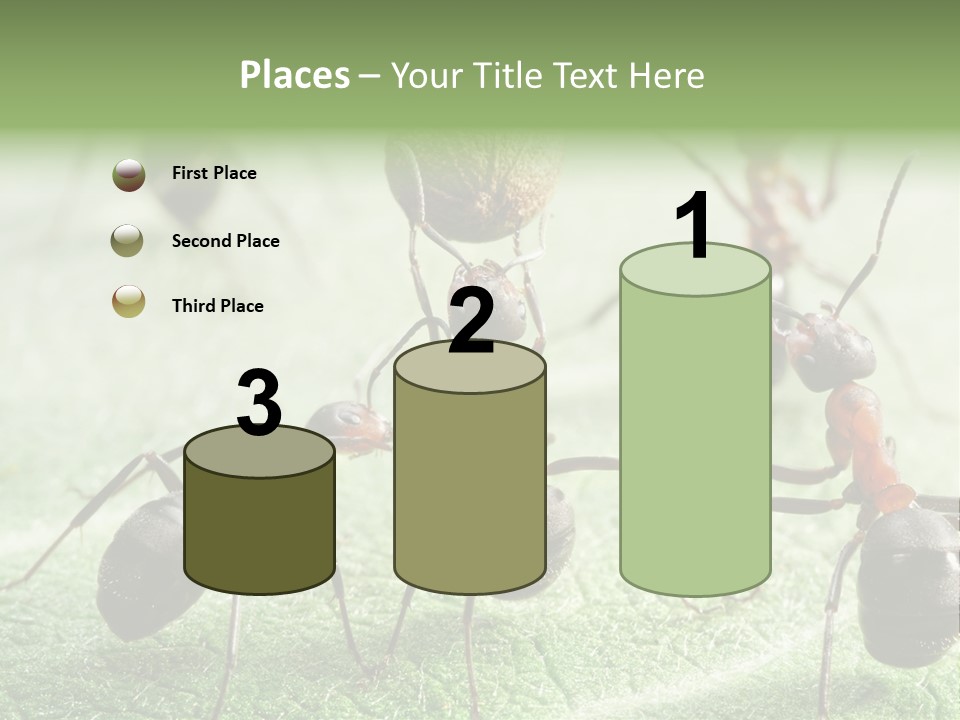 Insects Ant Goal PowerPoint Template