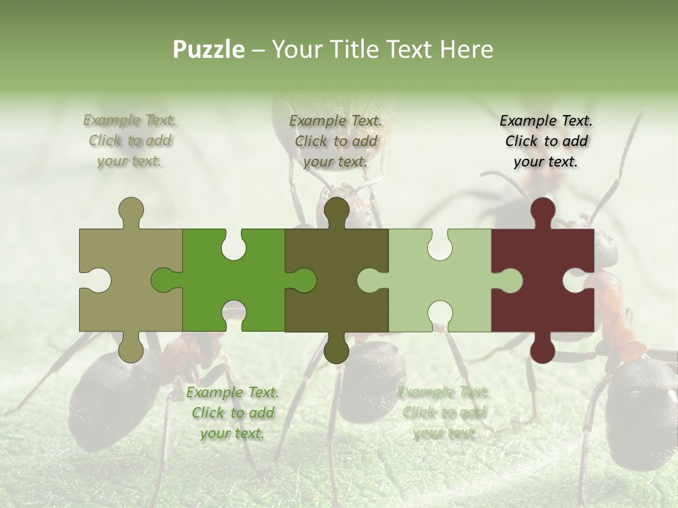 Insects Ant Goal PowerPoint Template