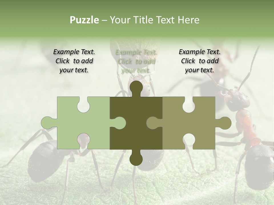 Insects Ant Goal PowerPoint Template