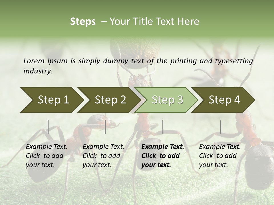 Insects Ant Goal PowerPoint Template