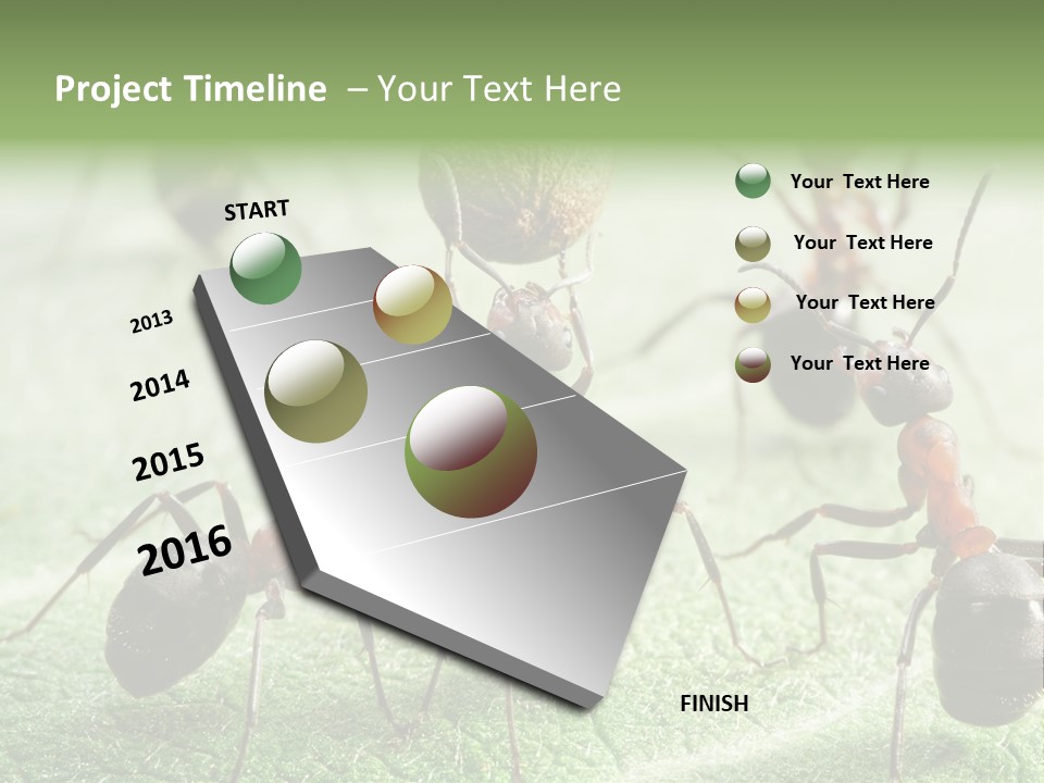 Insects Ant Goal PowerPoint Template