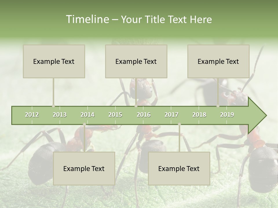 Insects Ant Goal PowerPoint Template