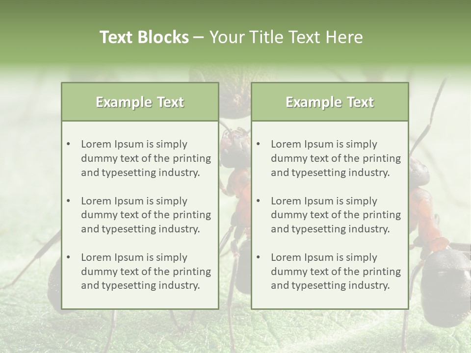 Insects Ant Goal PowerPoint Template