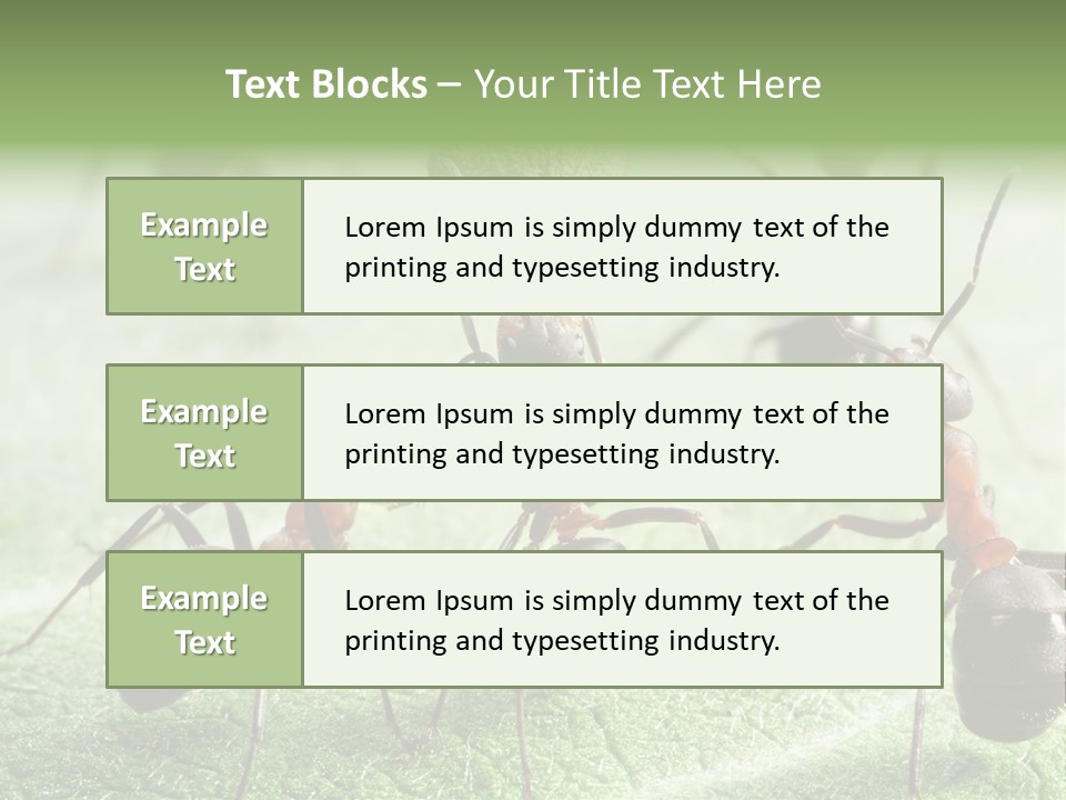 Insects Ant Goal PowerPoint Template