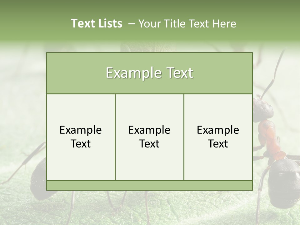 Insects Ant Goal PowerPoint Template